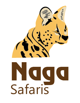 Naga Safaris