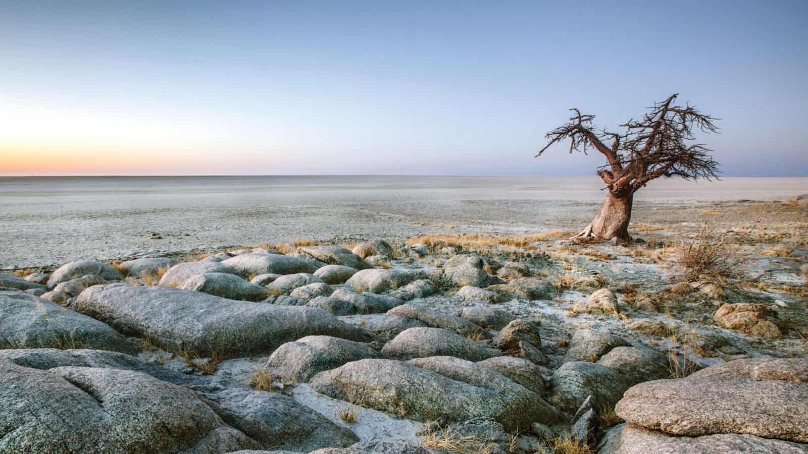 Makgadikgadi-Pans-in-Botswana-1600x900